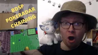 SHINY HUNTING TUTORIAL! How to use the Pok&eacute;radar in POK&Eacute;MON BRILLIANT DIAMOND and SHINING PEARL!
