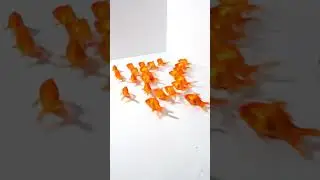 #1 Best Fish Simulation for Cats!