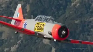 Tamiya Brasil