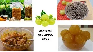 AMLA BENEFITS | RUJUTA DIWEKAR | 12 WEEK FITNESS PROJECT