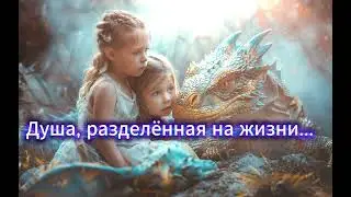Душа разделённая на жизни...