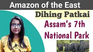 Dihing Patkai - Assam's 7th national park after Raimona...