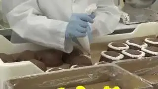 CNN inside the 'I Love Lucy' See's Candies Factory