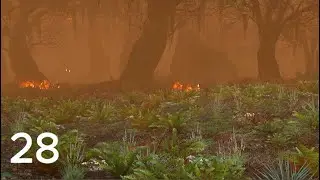 The Burning Forest | Middle-earth: Shadow of War