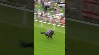 Will Continuous land the St Leger? 🏆  #horse #horseracing #racingtv