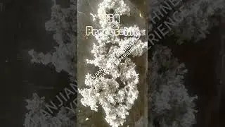 Your rubber is also like this ? ? #tsr10   #SVR10FACTORY #caoutchouc #rubberfactory #naturalrubber