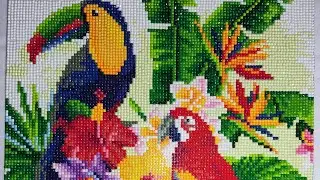 Diamond painting toucan and parrot