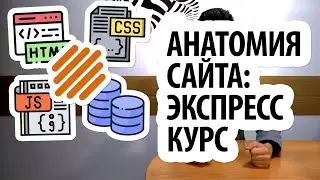 Анатомия сайта - экспресс-курс