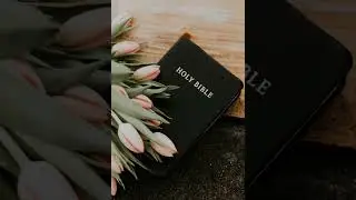 11-The First Book of the Kings - Chapter 22