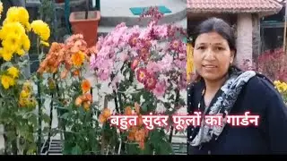 Bahut Sundar phoolo ka garden#Sundar Sundar phool # Sumitra haradi 