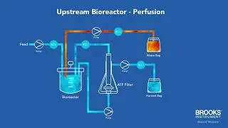 Ultrasonic Flow Meter with EtherNet/IP - Perfusion Systems (Upstream Bioreactors)