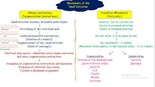 Movements of small intestine. Chapter 64 (part 7). Guyton and Hall Physiology.