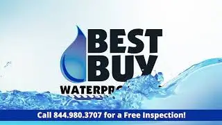 BBWP Spot - Mold in your Basement?
