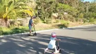 Retrospec Ripper 500 2 Wheel Kick Scooter, Nice large wheeled scooter