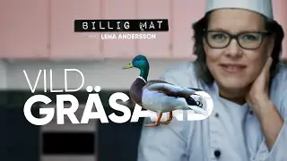 VILD GR&Auml;SAND - Billig mat med Lena Andersson