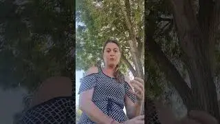 ЗНАКИ ПРОБУЖДЕНИЯ БОЖЕСТВЕННОГО МУЖСКОГО НАЧАЛА - БЛИЗНЕЦОВЫЕ ПЛАМЕНА 💖🌻🏵️😊🙏