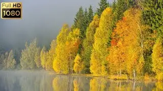 Healing Relaxing Meditation Music 💫 Deep Calm, Mindfulness & Sleep