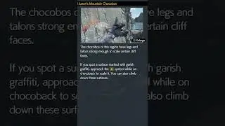 Chocobo Can Walk Up Walls | Final Fantasy VII Rebirth