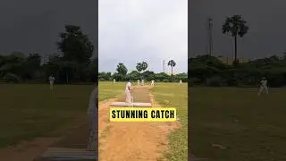 Потрясающий улов задом наперёд 🤯 #CricketReels #CricketShorts #GullyCricket #CricketLovers #Crick...