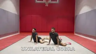 Exercise: Unilateral Cobra - UnCrunch Your Body Mobility Program