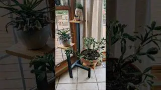 Very Simple DIY Plant Stand