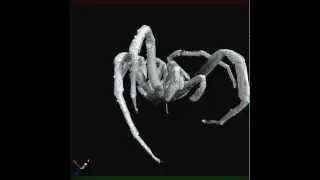 Halloween Spider - MicroCT (micro computed tomography) 3D X-Ray