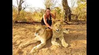 Lion Walk at Victoria Falls