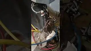 تغير كباس شارب