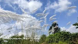 Dooram karigina song||whatsapp status#jetty movie song#love_status #sidsriramsongs