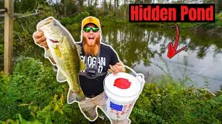 Stocking My BACKYARD Pond w/ Bass from HIDDEN Pond on My Property!!!