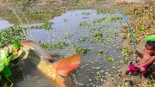 Little Boy Hunting Big Fish By Rod! Amazing Fishing Video.