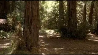 Demetri Martin finds Clearification, Episode 5