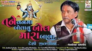 03 દેશી જીલણીયા ની મોજ​_પાણેસરા માંડ​વો|| Airshibhai Sathaliya ||NewDakla 2022 Reena Movies Palitana
