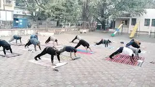 Different types of Aasanas and Suryanamaskar.