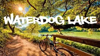 MOUNTAIN BIKING WATERDOG LAKE in BELMONT CA | SUMMER 2025