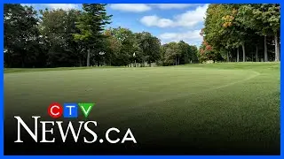 Growing demand for turf-grass experts