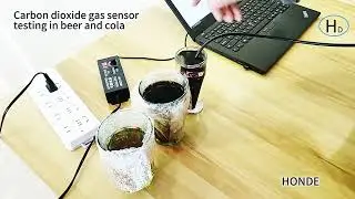 Carbon dioxide gas sensor testing in beer and cola
