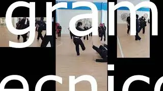 Viet Tai Chi Stage nazionale Pesaro 2020