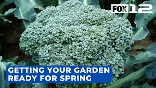 Get your Portland-area garden ready for spring