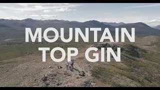 The Wandering Bison - Mountain Top Gin