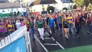Kilfenora C&eacute;il&iacute; Band & Fusion Fighters - FleadhTV Ennis 💚