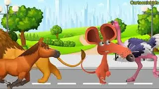 WILD Animals RACING Through the Amazon Jungle!