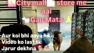 🌇City mall store me aai 🐄gau Mata ❤️ 🙏aur bhi koi aaya hn?
