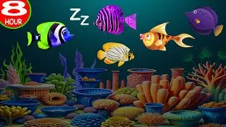 Instant Calm Baby Sleep in 3 Minutes 🍼 Baby Sleep Music 🎵 Mozart & Brahms Lullabies #147