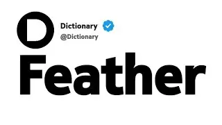 Feather Meaning in French