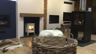 Gas stoves at West Country Stoves.