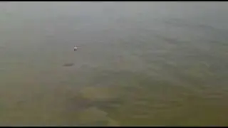 19042011007.mp4