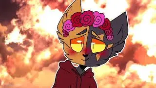 ✦Fantasize✦ | Animation Meme