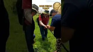 Moneda  2 Pesos De ORO!! #DetectandoConOswy #detectando #deteccion #metaldetecting