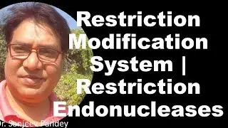 Restriction-Modification System | Restriction Endonuclease